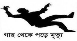 চরফ্যাসনে গাছ থেকে পড়ে শ্রমিকের মৃত্যু