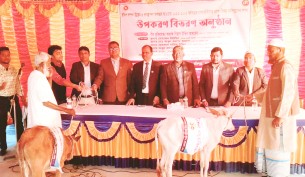 লালমোহনের ১৬ জেলে পেলেন বকনা বাছুর