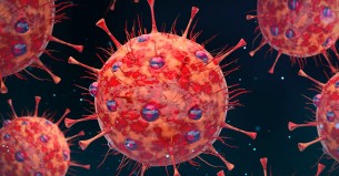 কোভিডের নতুন উপরূপ জেএন.১ কতটা ভয়ংকর?