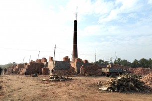 লালমোহনে ইটভাটায় অবাধে পুড়ছে কাঠ, হুমকিতে পরিবেশ