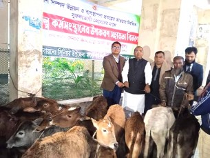 দৌলতখানে জেলেদের মাঝে বকনা বাছুর বিতরণ