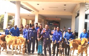 লালমোহনে ৬ গরুসহ চোর আটক