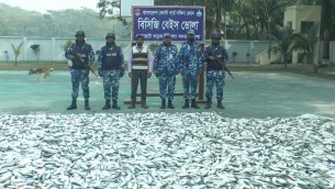 ভোলায় অটোরিকশা থেকে  ৫০ মন জাটক ইলিশ জব্দ