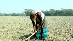 ভোলায় পানির অভাবে শতাধিক  একর জমির বোরো আবাদ বন্ধ