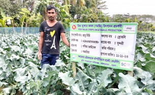 ব্রোকলি চাষে লাভের স্বপ্ন দেখছেন  লালমোহনের কৃষক সুমন