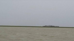 দৌলতখানের নেয়ামতপুর চরে নেই সরকারি প্রাথমিক বিদ্যালয়