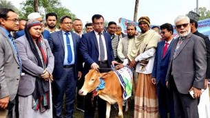 চরফ্যাশনে নিবন্ধিত জেলেদের মধ্যে বকনা বাছুর ও নিহত পরিবারকে অনুদানের চেক বিতরণ