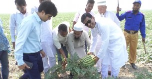ভোলা বিচ্ছিন্ন চরে তরমুজ চাষিদের পাশে জেলা প্রশাসক
