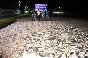 ভোলায় কোস্ট গার্ডের অভিযানে বিপুল  পরিমাণ অবৈধ জাল ও মাছ জব্দ