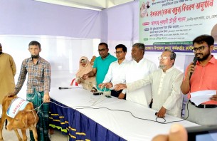 লালমোহনে মৎস্যজীবীদের মাঝে বকনা বাছুর বিতরণ