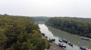 দেশের ২য় সুন্দরবনে পরিণত হচ্ছে ভোলার কুকরি-মুকরি