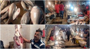 ভোলার বাজারে সব ধরনের মাছের দাম আকাশ ছোঁয়া!