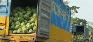 নাব্য সংকট ও ডুবোচরের কারনে ভোলা - লক্ষীপুর নৌরুটে  ফেরী চলাচলে ব্যাহত