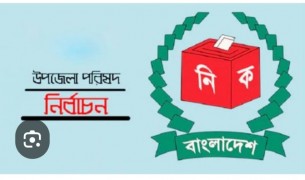 চরফ্যাশন মনপুরা উপজেলা নির্বাচনে মনোনয়ন দাখিল