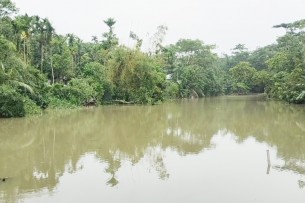 লালমোহনে পানিতে ভেসে গেছে কোটি টাকারও অধিক মাছ