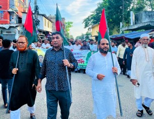 বোরহানউদ্দিনে আওয়ামী লীগের প্লাটিনাম জয়ন্তী পালিত