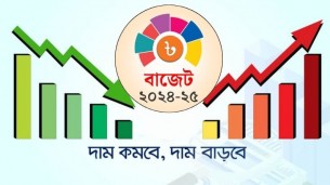 বাজেট ২০২৪-২৫ : যেসব পণ্যের দাম বাড়ছে-কমছে