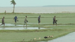 লালমোহনে দুই প্রার্থীর কর্মীদের  মধ্যে সংঘর্ষ, ককটেল বিস্ফোরণ