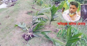 ভোলা-মেহেন্দিগঞ্জ সীমান্ত  একালায় সোনালী মৎস্য  খামারে হামলার অভিযোগ