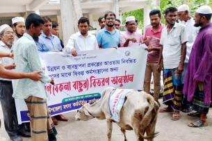 লালমোহনে আট জেলে বিনামূল্যে পেলেন বকনা বাছুর