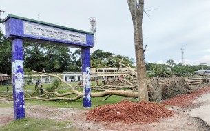 লালমোহনে বিদ্যালয়ের মাঠে পড়ে আছে গাছ, খেলাধুলায় বেঘাত