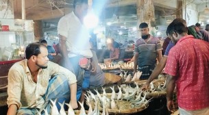 ভারতে রপ্তানির খবরে ভোলায় বেড়েছে ইলিশের দাম