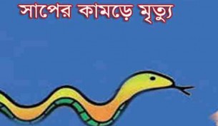 লালমোহনে সাপের কামড়ে গৃহবধূর মৃত্যু