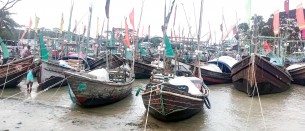 ভোলায় মা ইলিশ রক্ষায়  আজ থেকে ২২ দিনের অভিযান শুরু