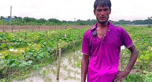 চরফ্যাশনে কম খরচে বিষ মুক্ত সবজী আবাদে খুশি কৃষক ও ভোক্তারা