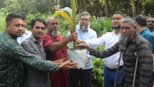 জলবায়ুর প্রভাব মোকাবেলায় ভোলায় সাড়ে তিন হাজার গাছ বিতরণ