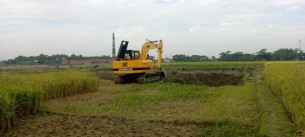 চরফ্যাশনে শিক্ষকের ইটভাটা জবর দখল করে নিলেন আওয়ামী লীগ নেতা