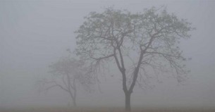 দেশের যে অঞ্চলে পড়তে পারে ঘন কুয়াশা