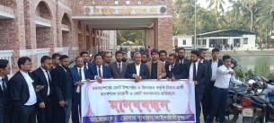 চরফ্যাশনের কোর্ট ইন্সপেক্টর ও জিআরও'র বিরুদ্ধে হয়রানী ও কোর্ট অবমাননার প্রতিবাদে আইনজীবীদের মানববন্ধন