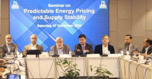 বিদ্যুৎ-জ্বালানিতে মাথাপিছু ভর্তুকি ৩ হাজার টাকা: উপদেষ্টা