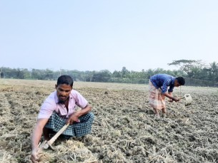 পেঁয়াজ উৎপাদনে সম্ভাবনাময় চরাঞ্চলের মাটি