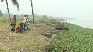 ভোলায় নদী ভাঙ্গন রোধে কাজ  শুরু করেনি অধিকাংশ ঠিকাদারভোলায় নদী ভাঙ্গন রোধে কাজ  শুরু করেনি অধিকাংশ ঠিকাদার