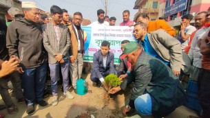 লালমেহান পৌরসভার সৌন্দর্যবৃদ্ধিতে বৃক্ষরোপন কর্মসূচি