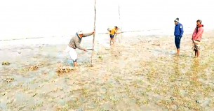 লালমোহনে মৎস্য সম্পদ ধ্বংসকারী ৫০ লাখ টাকার চরঘেরা অবৈধ জাল উচ্ছেদ