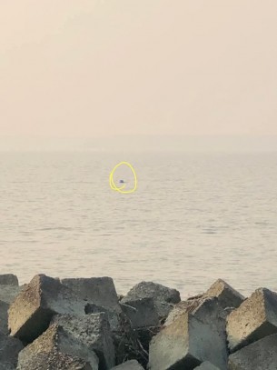 মনপুরায় মেঘনায় মাছ ধরতে গিয়ে নদীতে পড়ে এক জেলে নিখোঁজ