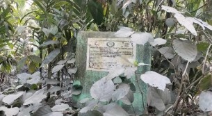 লালমোহনে জোরপূর্বক সেচ প্রকল্প দখলের অভিযোগ