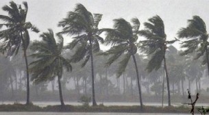 ১৩ অঞ্চলে ৪৫ থেকে ৮০ কিমি বেগে বজ্রসহ ঝড় হতে পারে