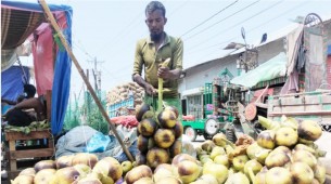 লালমোহনে গরমের তীব্রতায় বেড়েছে তালের শাঁসের কদর