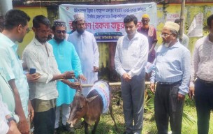 লালমোহনে মৎস্যজীবীদের বিকল্প কর্মসংস্থানের জন্য বকনা বাছুর বিতরণ