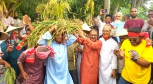 ভোলায় প্রান্তিক কৃষকের ধান কাটতে মাঠে কৃষক দল