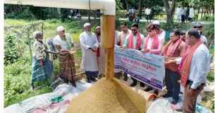 লালমোহনে কম্বাইন্ড হার্ভেস্টার  দিয়ে বোরো ধান কাটার উদ্বোধন