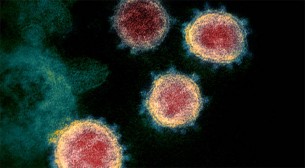 আরও ১০ জনের করোনা শনাক্ত