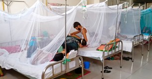 চলতি বছর ডেঙ্গুতে মৃত্যু ৪০ ছাড়ালো