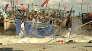 ৫৮ দিনের নিষেধাজ্ঞা শেষ সাগরে মাছ ধরা শুরু