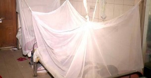 আরও ৩৫২ ডেঙ্গুরোগী হাসপাতালে ভর্তি, একজনের মৃত্যু