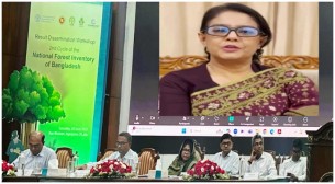 বন ও প্রাকৃতিক সম্পদের ব্যবস্থাপনায় সবার অংশগ্রহণ জরুরি: পরিবেশ উপদেষ্টা